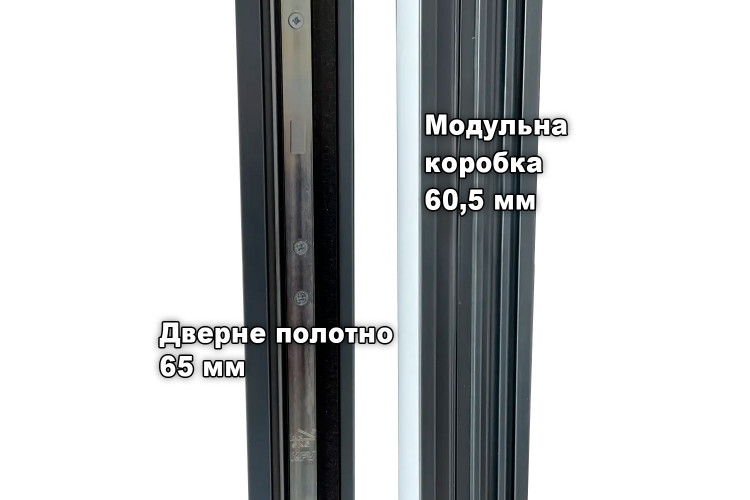 Входные двери 1000x2100 мм IsoPro IP 010, RAL 8028, Терракотовый