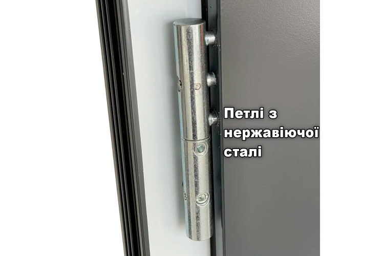 Входные двери 1100x2100 мм IsoPro IP 010, RAL 8028, Терракотовый